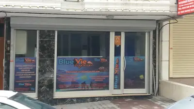 Bluelife Akvaryum San.Tic.Ltd.Şti