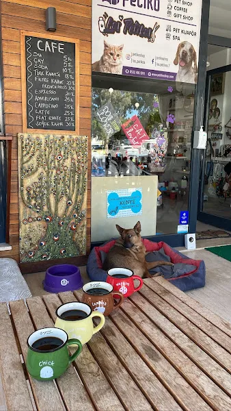Petiko Shop Cafe foto 2