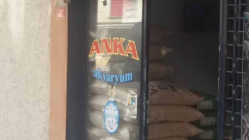 Anka Akvaryum foto 2