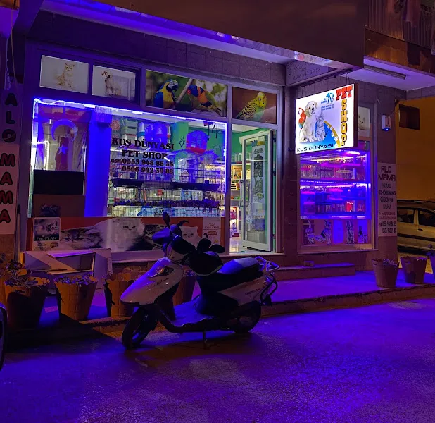 Kuş Dünyası Pet Shop foto 2