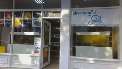 Akvaryumist