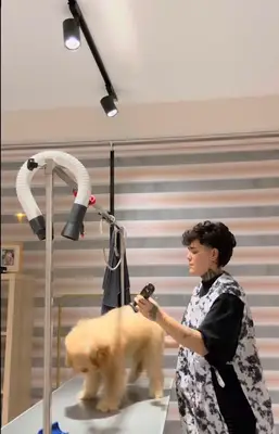 KİGİ PET KUAFÖR