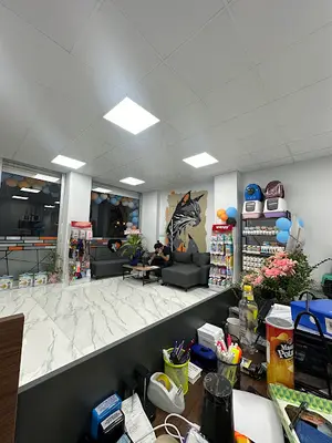 Panem Veteriner Kliniği