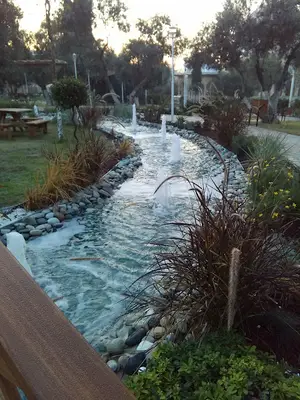ZEYTİN DALI PARKI