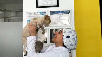 Eskişehir Sante Veteriner Kliniği