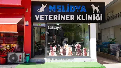 Malatya Melidya Veteriner Kliniği