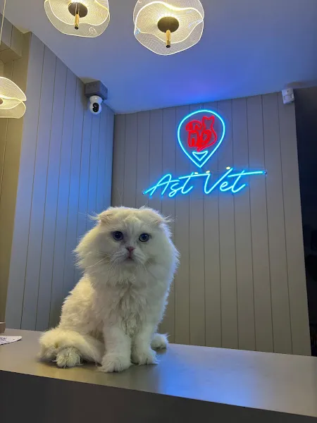 Ast Veteriner Kliniği foto 2