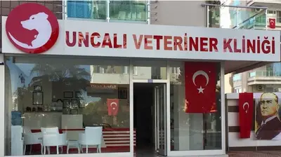 Pozitif Veteriner Kliniği