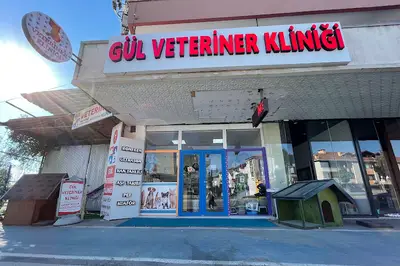 GÜL VETERİNER KLİNİĞİ
