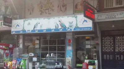 Yunus Akvaryum & Petshop - Dolphin Akvaryum