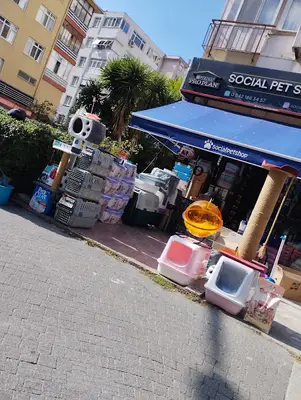 Social pet shop