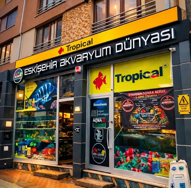 ESKİŞEHİR AKVARYUM DÜNYASI foto 1
