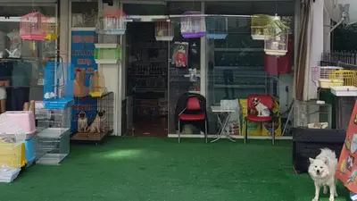 Manavgat Deniz Pet Market