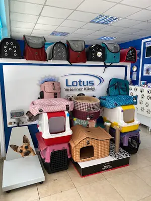 Adana Lotus Veteriner Kliniği