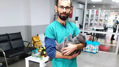 Manisa Sır Veteriner Kliniği