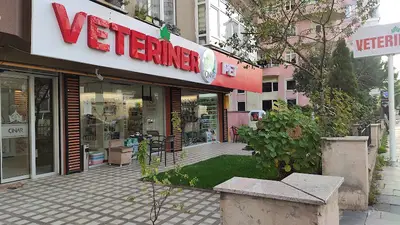 ÇINAR PET VETERİNER MUAYENEHANESİ