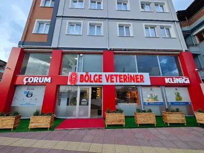 Çorum Bölge Veteriner Kliniği