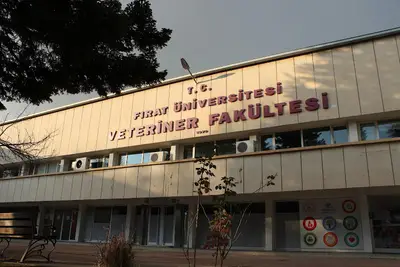 Fırat Üniversitesi Veteriner Fakültesi