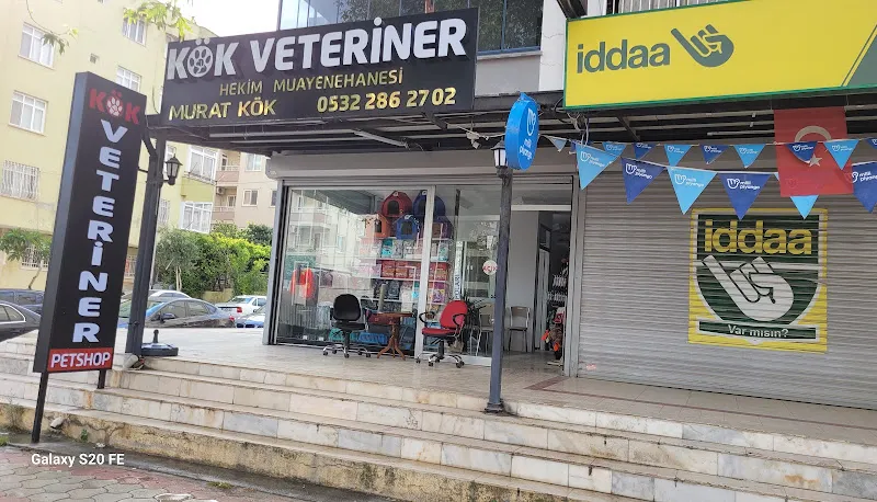 KÖK VETERİNER KLİNİĞİ foto 2
