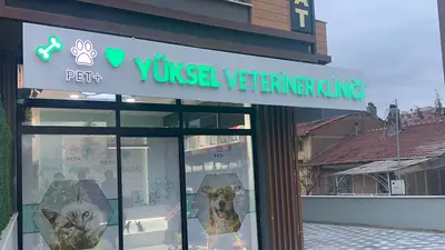 Yüksel Vet Pet + Plus Veteriner Kliniği