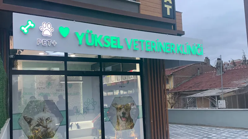 Yüksel Vet Pet + Plus Veteriner Kliniği foto 1