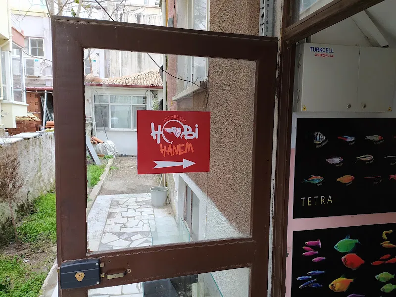 Hobihanem (Muğla) foto 2