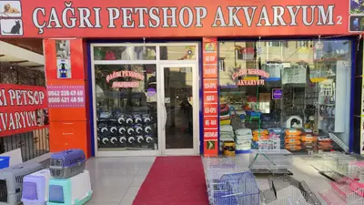 Çağrı petshop sincan