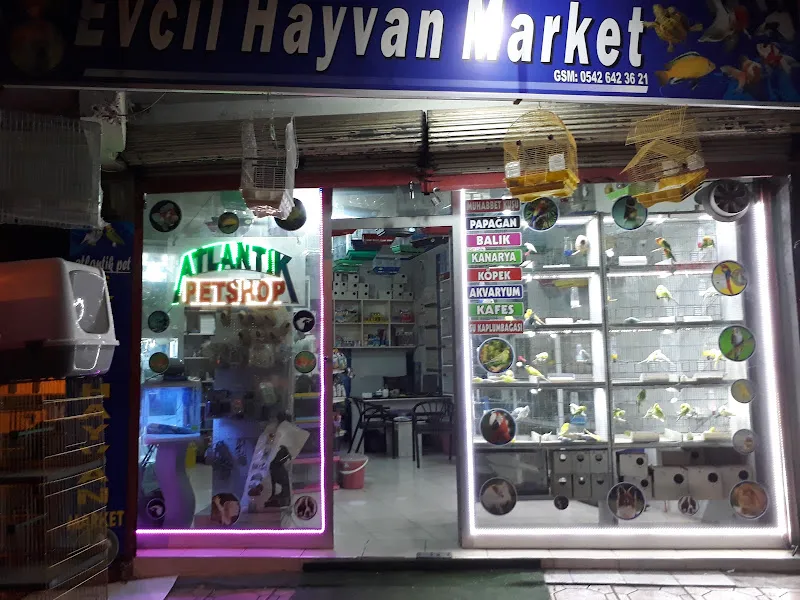 Alatay petshop foto 2