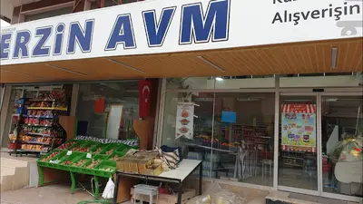 Erzin avm