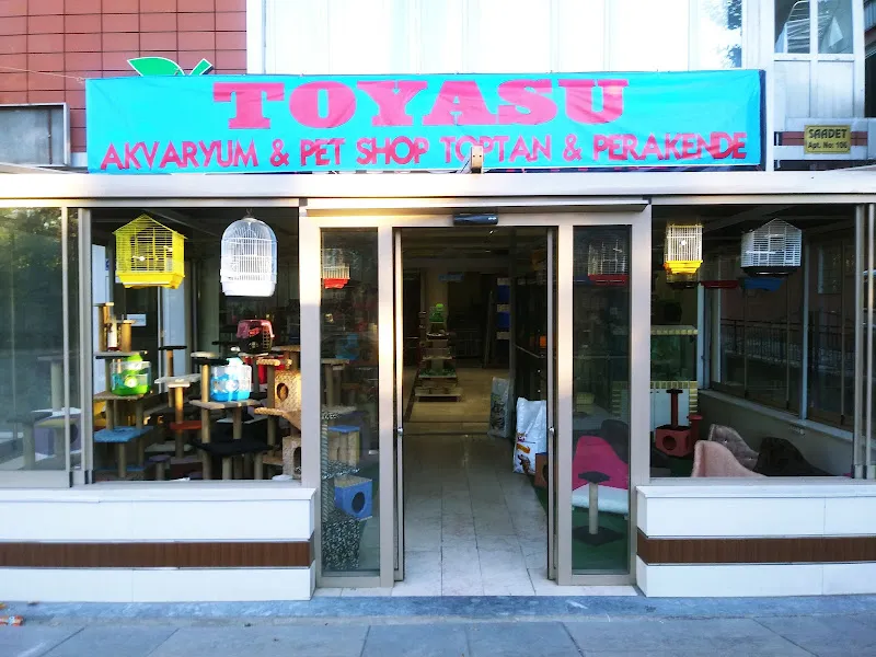 Toyasu Akvaryum & Pet Shop foto 1