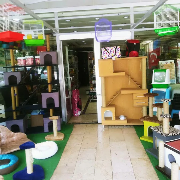 Toyasu Akvaryum & Pet Shop foto 2