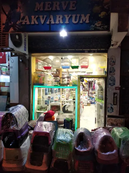 Merve Petshop foto 1