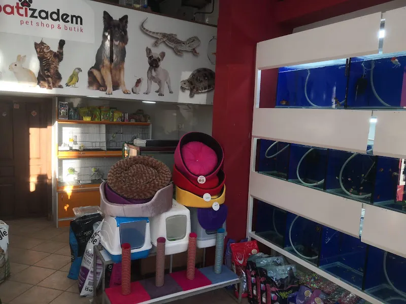 Aydınlıkevler Patilayla Petshop & butik foto 2