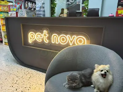PetNova Veteriner Kliniği