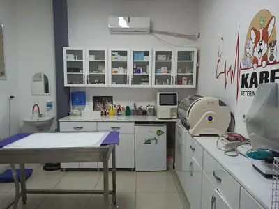 Kare Veteriner Kliniği