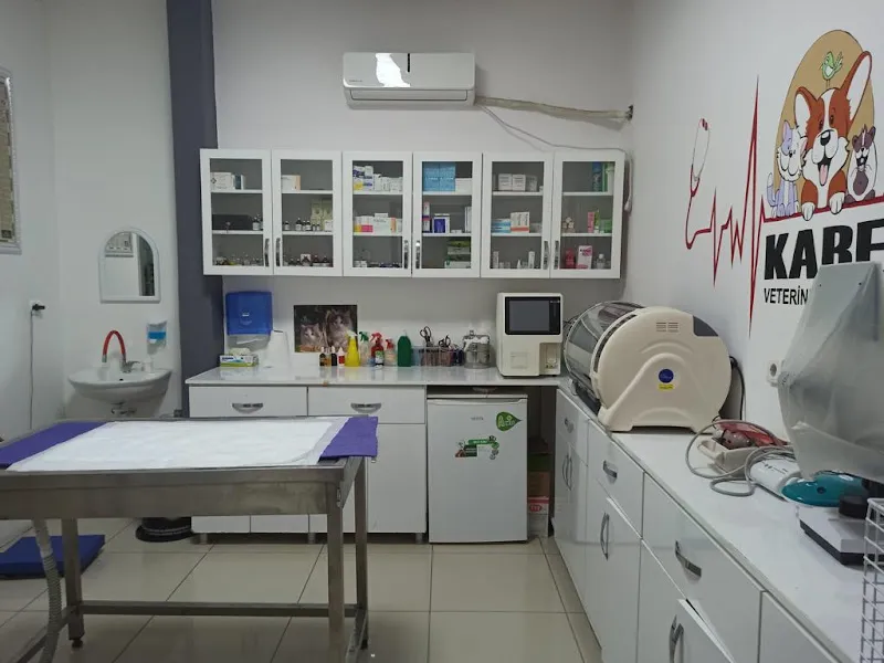 Kare Veteriner Kliniği foto 1