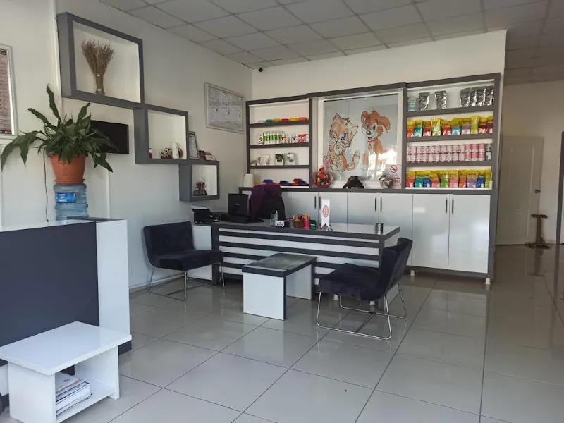 Kare Veteriner Kliniği foto 2