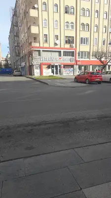 Animal Veteriner Sağlık Merkezi