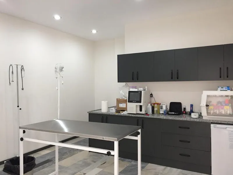 Yaşam Veteriner Kliniği - Lise foto 2