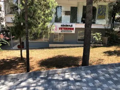 Kükürtlü Veteriner Muayenehanesi