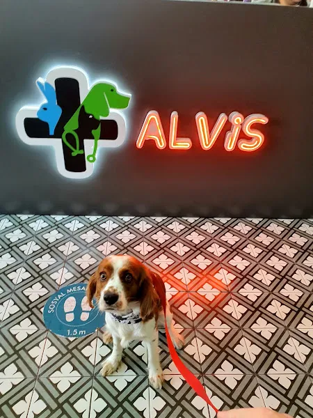 Alvis Veteriner Kliniği foto 2