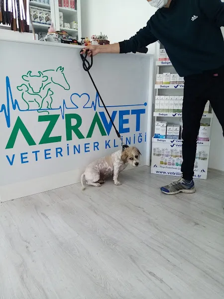 Azra Veteriner Kliniği Karamürsel foto 1