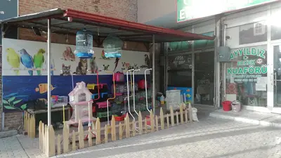 PAŞA PETSHOP