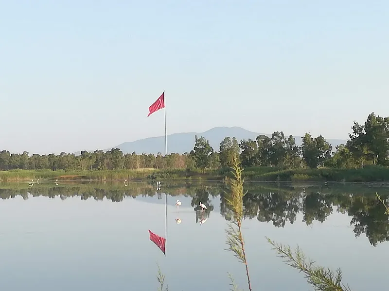 Aliağa Kuş Cenneti foto 1