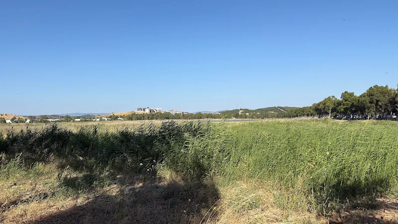Aliağa Kuş Cenneti foto 2