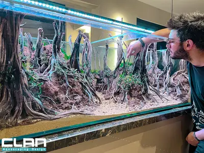 Clan Aquascaping Akvaryum Tasarım