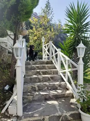 Babizer Konaklama ve Restaurant