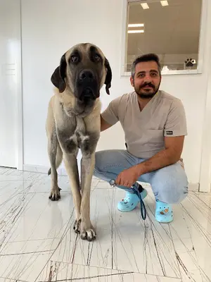 VETCOD Veteriner Kliniği