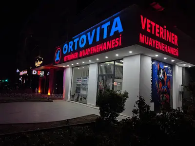 Ortovita Veteriner Kliniği 7/24