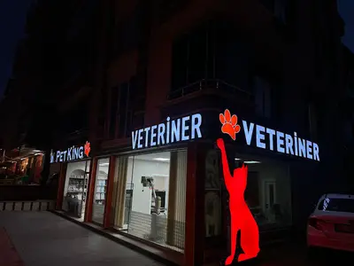 Samsun PETKİNG Veteriner Kliniği 7/24 ACİL